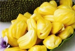 Những bài thuốc dân gian từ mít